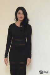 Anisha Ambrose at Run Movie Release Press Meet